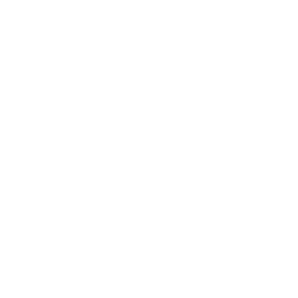Nasty C Logo White
